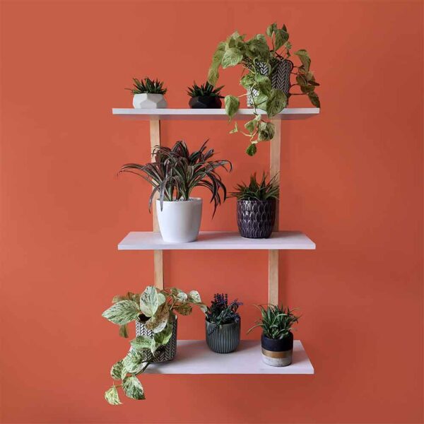 Jardín Vertical